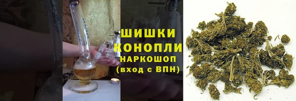 шишки Аркадак