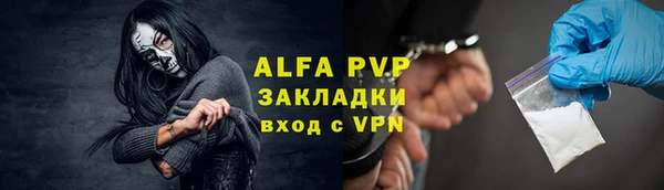 шишки Аркадак
